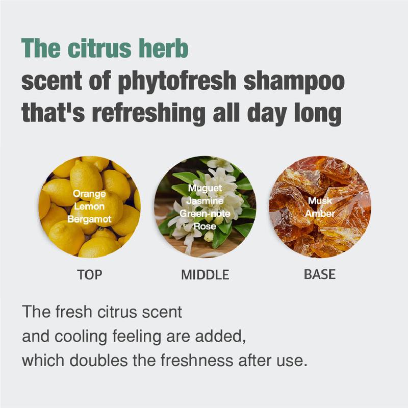 Phyto Fresh Shampoo 5